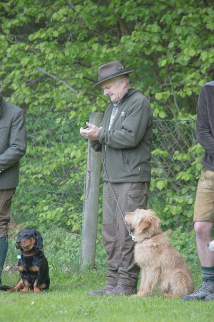 Hundepräsentation 2019